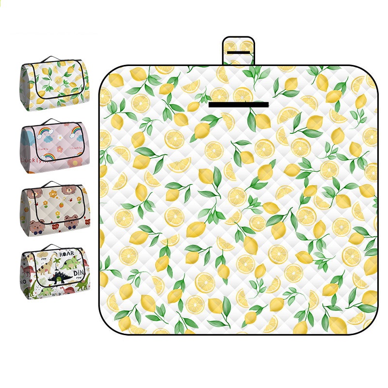 150*200CM 휴대용 피크닉 매트 야외 접이식 두꺼 - Outdoor Camping Rug Waterproof 리뷰 및 가격